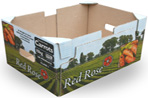 Red Rose Carrots