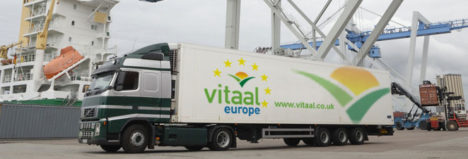 Vitaal Europe